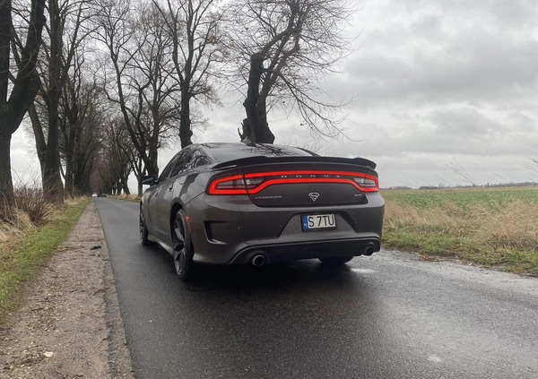 Dodge Charger cena 115500 przebieg: 118000, rok produkcji 2019 z Mieszkowice małe 326